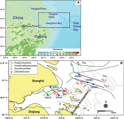 Controls on shallow gas distribution, migration, and associated geohazards in the Yangtze subaqueous delta and the Hangzhou Bay